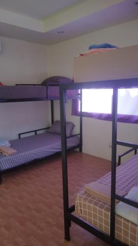 Ban NuaBoy Scouts Homestay的一间设有几张双层床的客房
