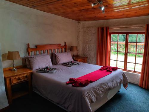 德拉肯斯堡花园Gooderson Leisure Mountain View Cottages Self Catering and Timeshare Resort的一间卧室配有一张带红色床单的床和一扇窗户。
