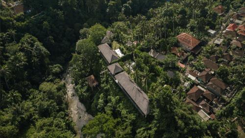 乌布Villa Bedulu Cliff Estate Ubud - Wood Side的享有森林的顶部景色,森林中拥有房屋和树木