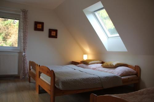 哈拉霍夫Apartmány Mamut Harrachov的一间卧室设有两张床和天窗