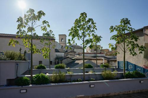 福贾Mamaco I Teatro Rooms的屋顶花园种有树木和植物