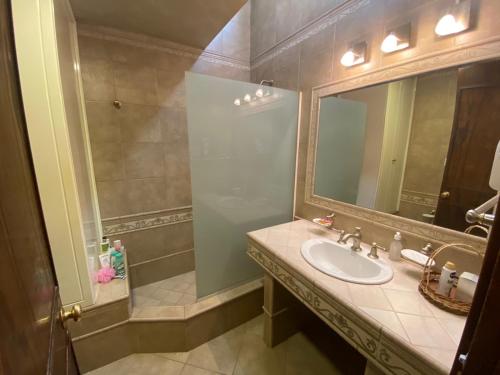 门多萨Fuxia House Hostel的一间带水槽和镜子的浴室