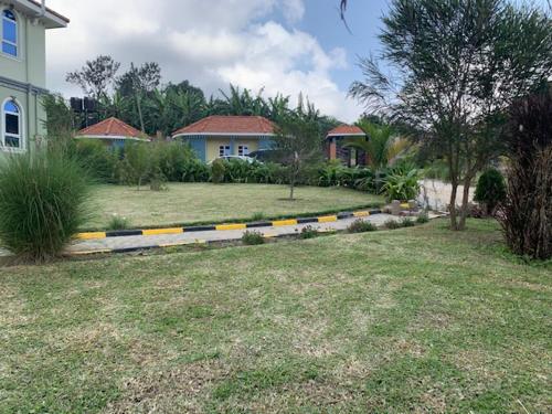 RukungiriIshuro Villas的一座有房子的院子和一座有车道的房子