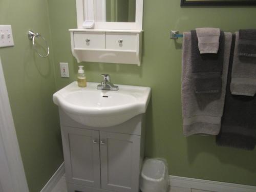 Granville FerryGrand Oak Manor Bed and Breakfast的一间带水槽和镜子的浴室