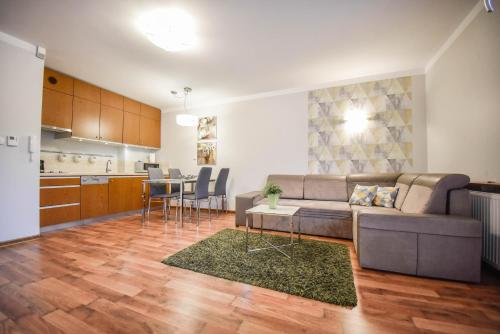 斯维诺乌伊希切Apartamenty na Wyspie - Villa Mistral - Apartamenty z sypialnią i parkingiem的带沙发的客厅和厨房