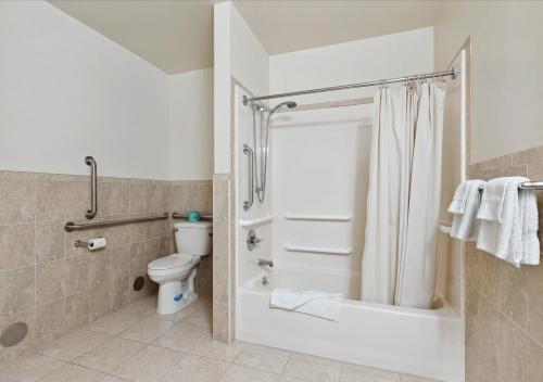 爱迪生Edison Motor Lodge的浴室设有卫生间和带浴帘的淋浴。