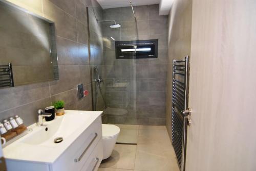 凯法利尼亚岛Villa Katerina Kefalonia的浴室配有卫生间、盥洗盆和淋浴。