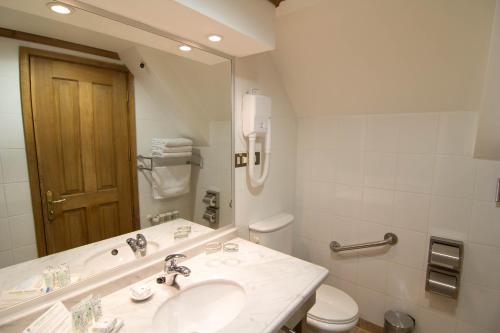 纳塔列斯港Hotel y Cabañas Llanuras de Diana - Caja Los Andes的一间带水槽、卫生间和镜子的浴室