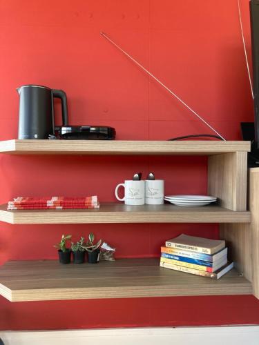 邦比尼亚斯Apartamentob301 coliving bombinhas的红色的墙,有木架,有杯子和书籍