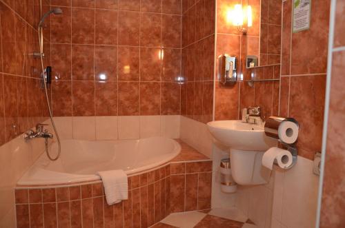 阿尔贝廷酒店的一间浴室