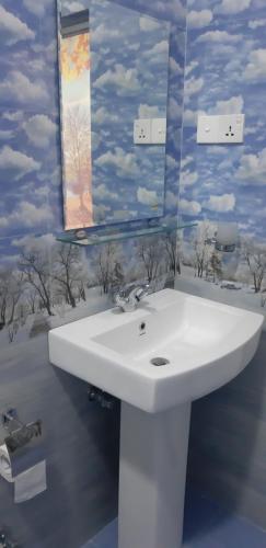 达瓦拉维蝴蝶家园酒店的浴室设有白色水槽和镜子