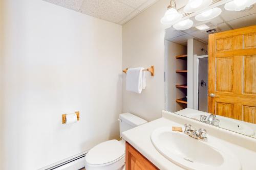 JayJay Peak Village Home 367B的一间带水槽、卫生间和镜子的浴室