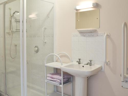 NewchurchThe Annexe的白色的浴室设有水槽和淋浴。