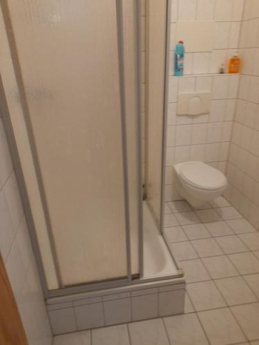茨维考Schöne Wohnung für Monteure und sonstige Reisende的带淋浴和卫生间的浴室