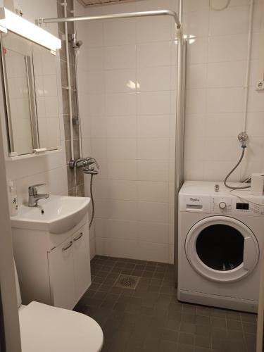 福尔萨HH Huoneistot kaksio parvekkeella的一间带洗衣机和水槽的浴室