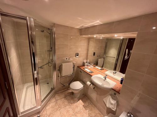 普雷斯顿麦克唐纳德提科尔鳟鱼度假酒店的一间带水槽、淋浴和卫生间的浴室
