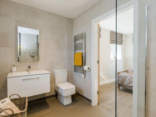 Shirland利特巴恩度假屋的一间带卫生间、水槽和镜子的浴室