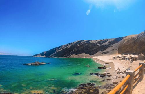 帕拉卡斯Hotel Ocean Beach Paracas的和水中的人一起欣赏海滩的景色