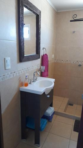 奥拉瓦里亚Alquileres Pedro的一间带水槽、镜子和淋浴的浴室