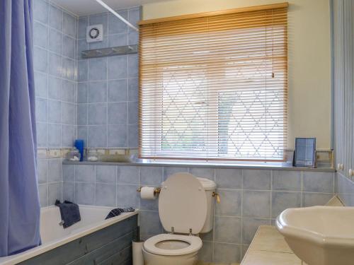 LydbrookOak Tree Cottage - E5062的浴室配有卫生间、浴缸和水槽。