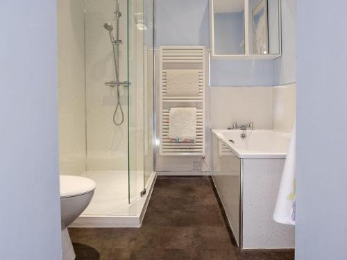 RadernieSouth House的带淋浴、卫生间和盥洗盆的浴室