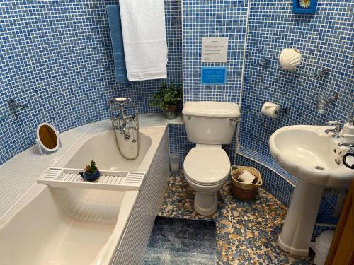 Shotley Bridge河边乡村别墅的蓝色瓷砖浴室设有卫生间和水槽