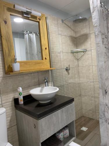 威廉斯塔德Lilu Apartments Curaçao的一间带水槽、镜子和淋浴的浴室