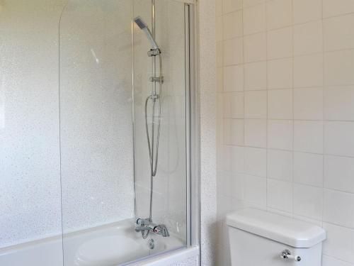 霍特惠斯尔Glendale Mews的带淋浴、卫生间和盥洗盆的浴室