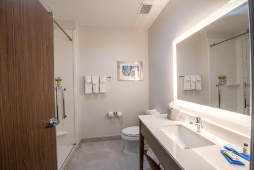 休斯顿Holiday Inn Express & Suites - Houston Westchase - Westheimer, an IHG Hotel的一间带水槽、卫生间和镜子的浴室