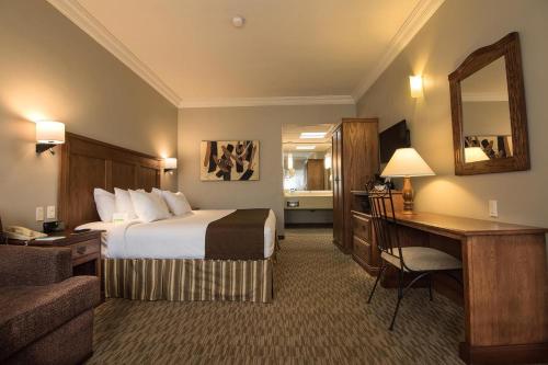 托雷翁弗雷斯诺加莱里亚斯酒店的配有一张床和一张书桌的酒店客房