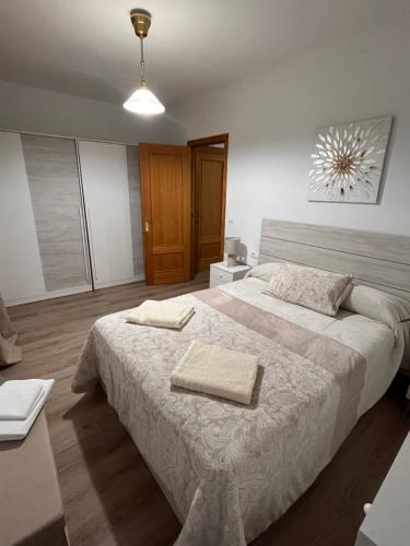 阿尔奇多纳Apartamentos EL PELIGRO的一间卧室配有一张大床和两条毛巾