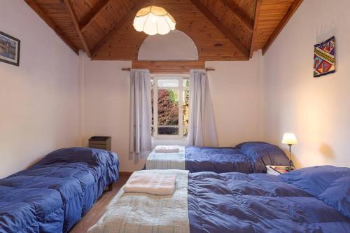 圣马丁德洛斯Cabañas Del Lacar的一间卧室设有3张蓝色的床和窗户