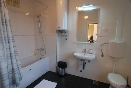弗尔尼亚奇卡矿泉镇Vrnjci House的浴室配有盥洗盆、卫生间和浴缸。