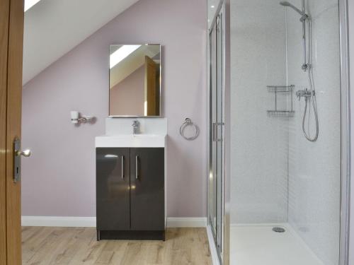 DoddingtonLucys Lodge - Ukc2202的浴室配有盥洗盆和带镜子的淋浴