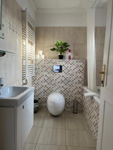 索普隆Jager Guesthouse的一间带卫生间和水槽的浴室