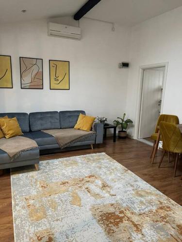 蒂米什瓦拉Apartament la casa的客厅配有蓝色的沙发和地毯。