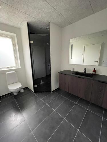 海宁Nyt hus的一间带卫生间、水槽和镜子的浴室