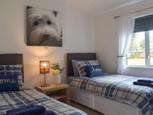 DollarDevin Lodge的一间卧室配有两张床,并画着一只狗的照片