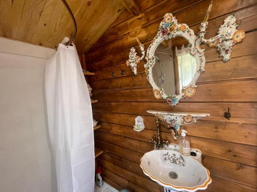 Marais-Vernier7eme ciel - Tiny House avec Grande Piscine intérieure chauffée toute l'année的一间带水槽和镜子的浴室