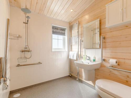 WillingtonChestnut Lodge的一间带水槽、卫生间和镜子的浴室