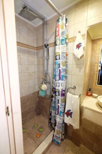 希俄斯Castle Maisonette的浴室内配有淋浴帘。