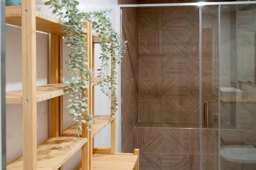 穆特克萨梅尔Felipe Antón Suites的淋浴间设有木制架子和玻璃门