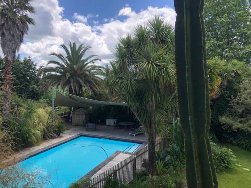 汉密尔顿Flowerhaven - glamping dome的棕榈树花园内的游泳池