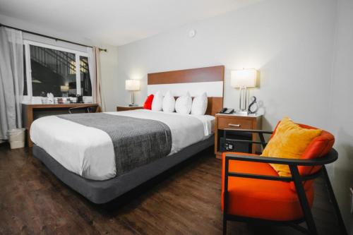 圣地亚哥圣地亚哥阿特伍德汽车旅馆 - 海洋世界/动物园的酒店客房带一张大床和一把椅子