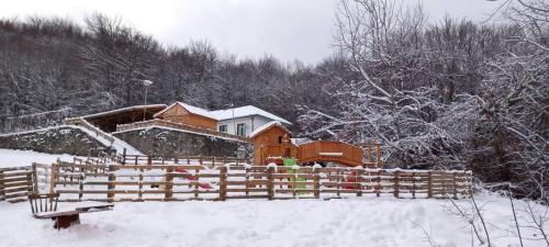 VladayaBonsovi Poliani Hut (хижа Бонсови поляни)的雪中带木栅栏的房子