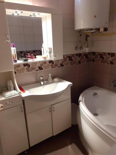 奥巴曹洛克Karkusz Apartman的一间带水槽、卫生间和镜子的浴室