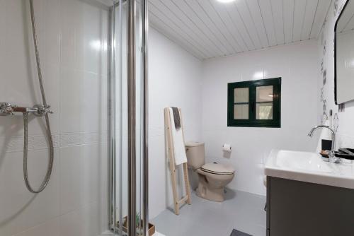 拉科鲁尼亚A Casa de Andrea的白色的浴室设有卫生间和淋浴。