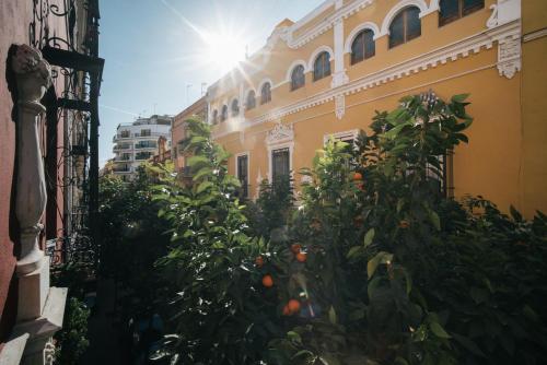 塞维利亚Apartamentos Abreu Suites的一座建筑前的橘子树