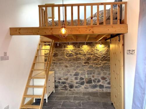 斯旺西Rhossili's Retreat - AONB - Gower Rural Sleeps up to 6的一张高架床,在房间中设有梯子