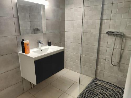维特罗勒ZIN AND GREEN JACUZZI SuperbeT2 spacieux idéalement situé的一间带水槽和淋浴的浴室